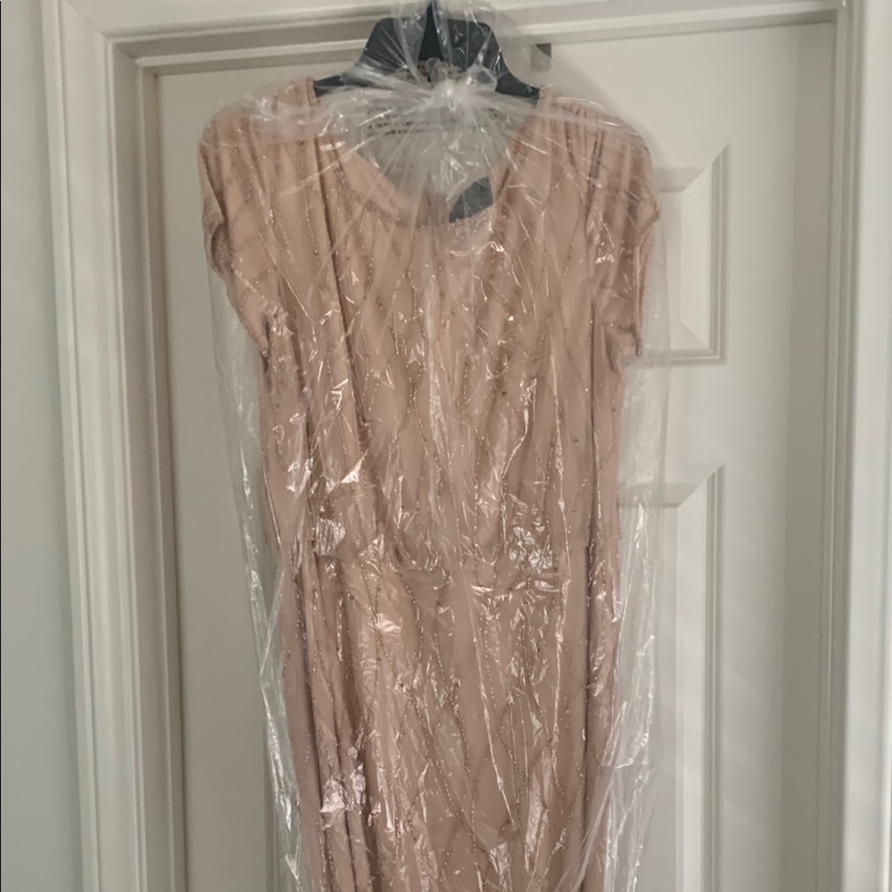 Adrianna Papell Blush Wedding Dress wore 1 time